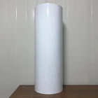 Recycled white electronic tray product blister packaging plastic suppliers apet sheet rolls