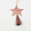 /product-detail/colorful-christmas-style-pendant-metal-star-piece-pendant-with-tassels-wholesale-for-christmas-party-home-decoration-supplies-62409303057.html