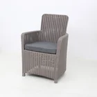 Leisure Coffee Shop Garden Furniture Rattan Outdoor Furniture Single Seater Sofa Chairs