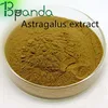High Quality astragalus extract 98%
