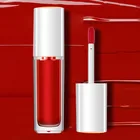 N258 Customize Private Label Lipstick/Lipgloss pigment colors versagel lip gloss