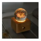 New products 2020 Wholesale souvenir gift crystal preserved flower crystal gift box