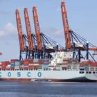 Professional International Logistics Sea freight forwarder Agents China to New Zealand