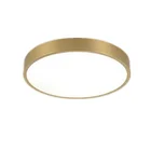 led brass Ceiling Lamp Modern Ultra-Thin LED Light