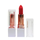 Oem cosmetics custom logo lipstick matte eco lipstick no label name private label lipstick