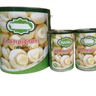 low price fresh canned food canned champignon mushroom whole
