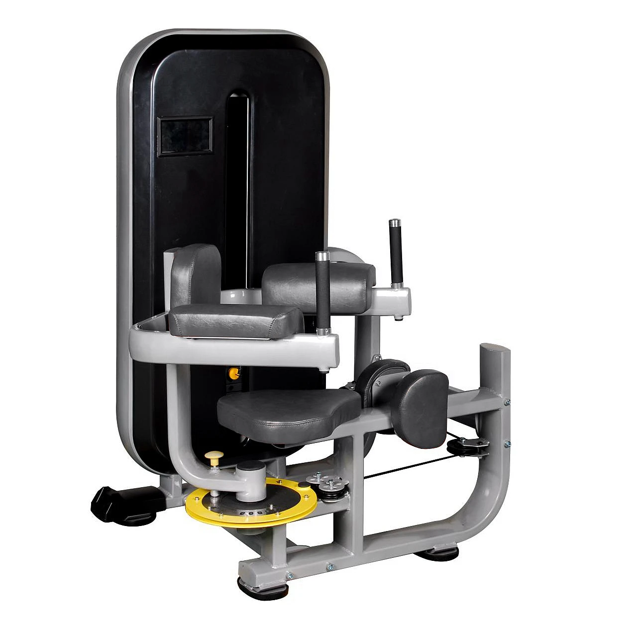 gym equipments used torso rotation machine