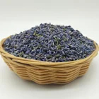 4003 Xun yi cao Wholesale High Quality China Factory Dried Lavender Bud For Tea
