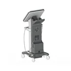 Rf Removal Microneedle Rf Golden Skin Lifting/wrinkle Acne Scar Removal Microneedle Fractional RF Machine