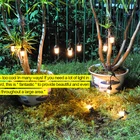 IP44 LED Outdoor String Lights Fire Flaming Party String Lights