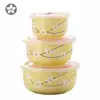 Amazon Hot Sale Food Storage Containers Microwave Safe Ceramics Bowl A set of 3 Ceramic Storage Bowls with Lid