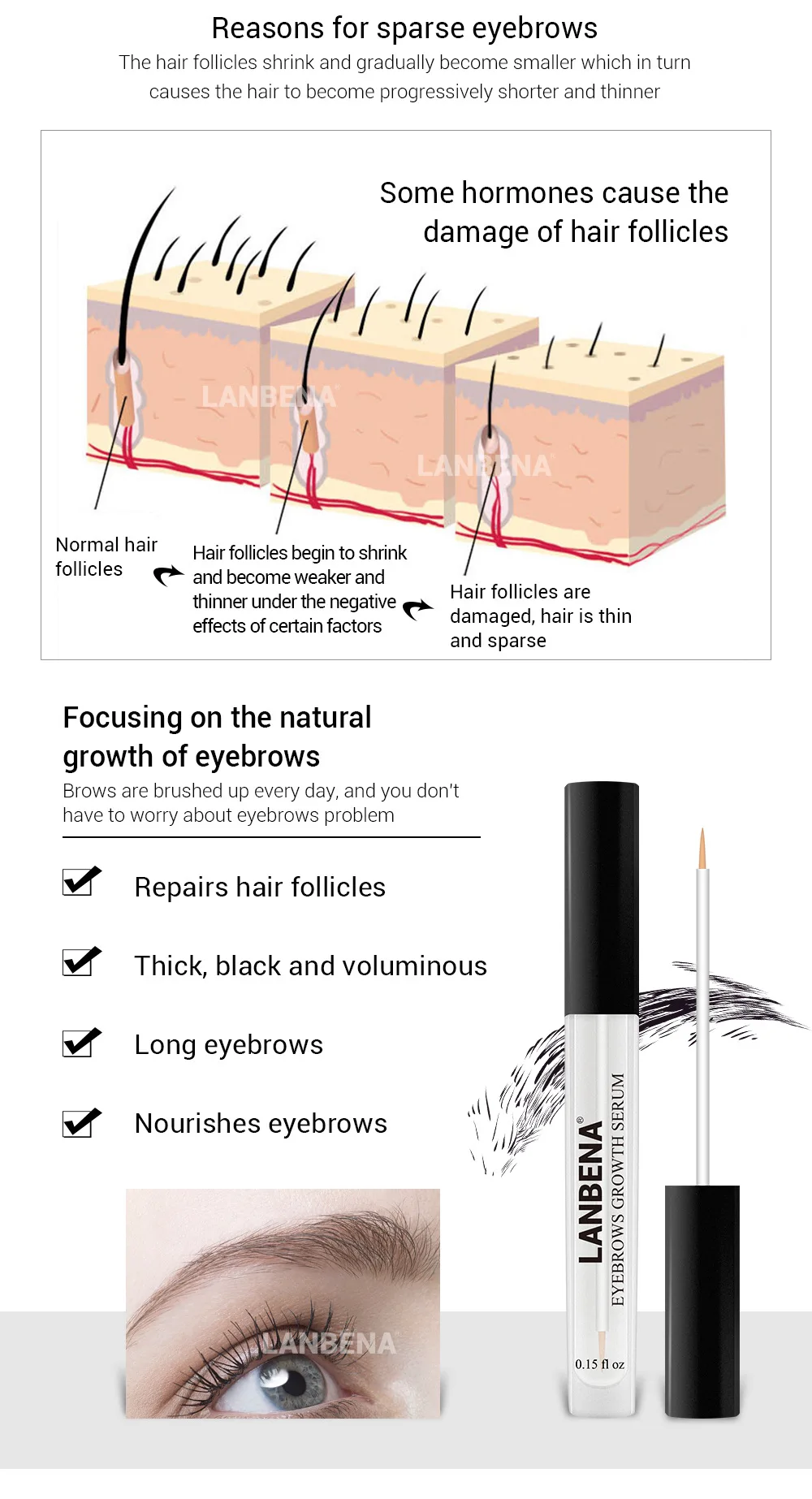 eyebrow growth serum (9).jpg