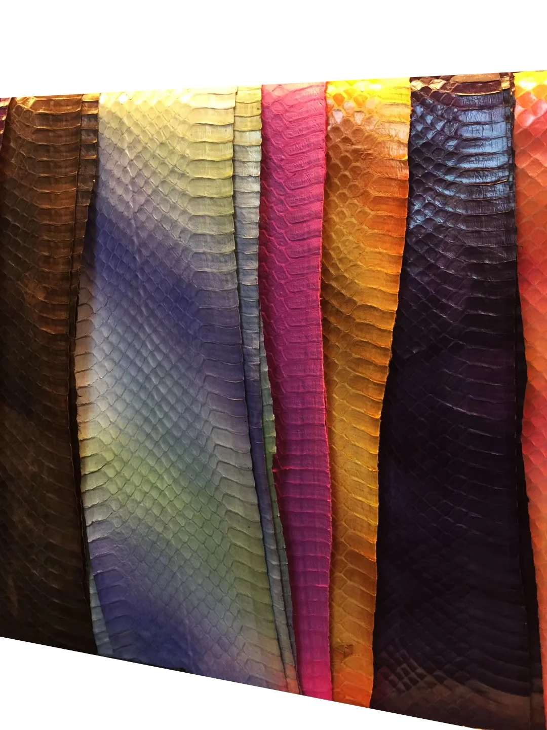 Anacondas skin (2)