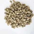 Chinese Hot Sale Arabica Raw Green Coffee Beans