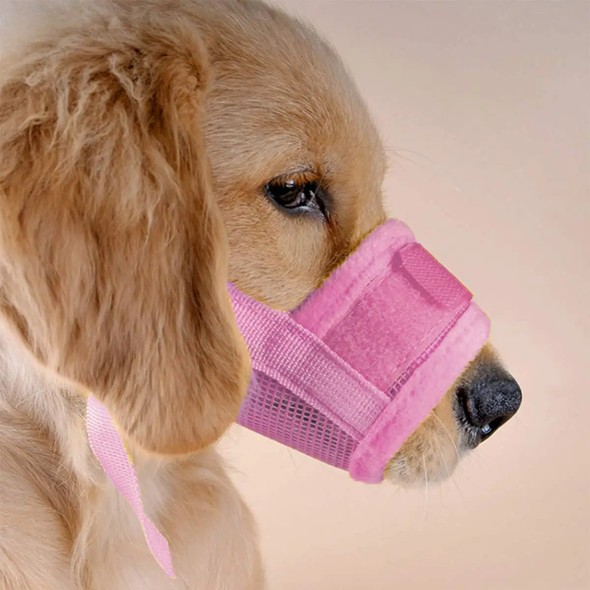 pink basket muzzle