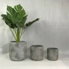Plant Pot The Unique European-style Concrete Flowerpot Garden Decorates The Plant Pot