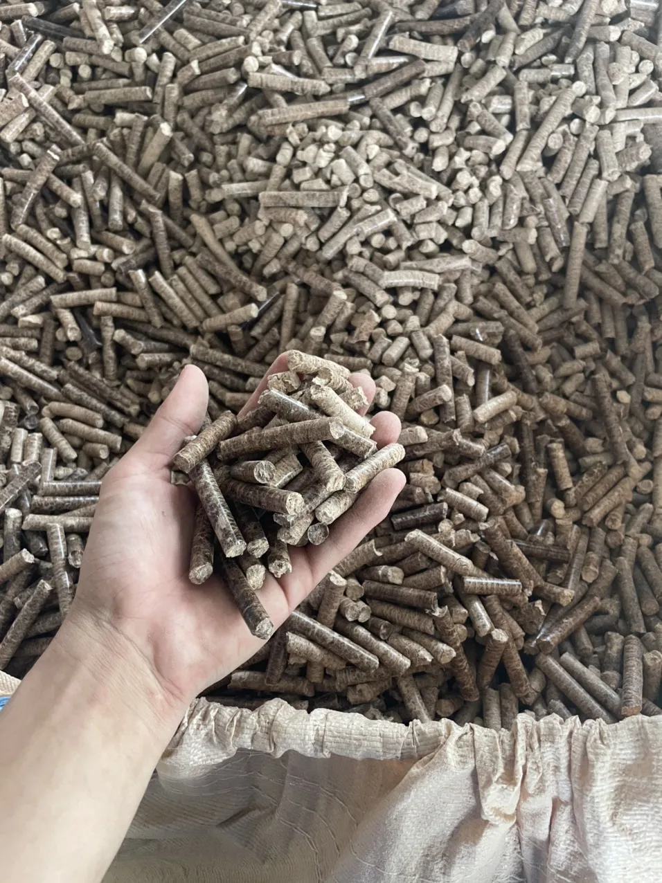 Cheap Bulk Custom Size Wood Pellet For Heating System Cooking Fuel From