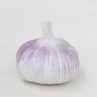 Garlic Garlic Garlic Price In China Normal White Garlic Price In China