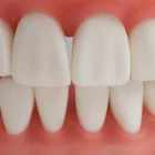 cheap suppliers general practical human learning teeth model