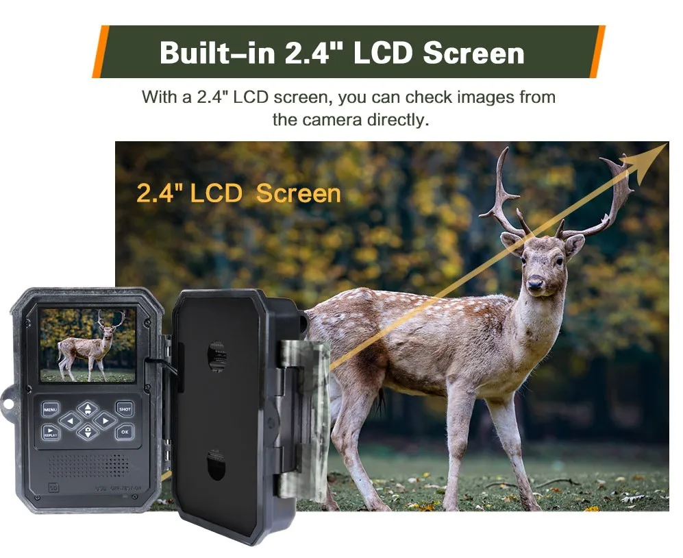 770 Trail camera 070.jpg
