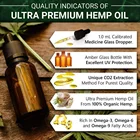 Seed Oil Seedoil Wholesale Price Private Label Organic Pure Hemp Seed Extract Pain Relief Hemp Seed Oil For Human