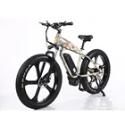 2019 factory sale fat bike electric 26 inch fat tire ebike mtb 250W Fat Electric Bike fat electric bicycle