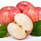 Apples Delicious Apples China Fuji Apples
