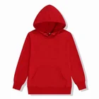 Kids Fashion Embroidery 100% Cotton Kids Fashion Pullover Hoodies Sweatshirts