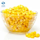 New Crop Super Sweet 903 IQF Frozen Sweet Corn Kernels