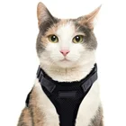 Clothes Collar Amazon Hot Sell Chest Harness Vest Cat Clothes Traction Rope Breathable Pet Accessories Leash Collar