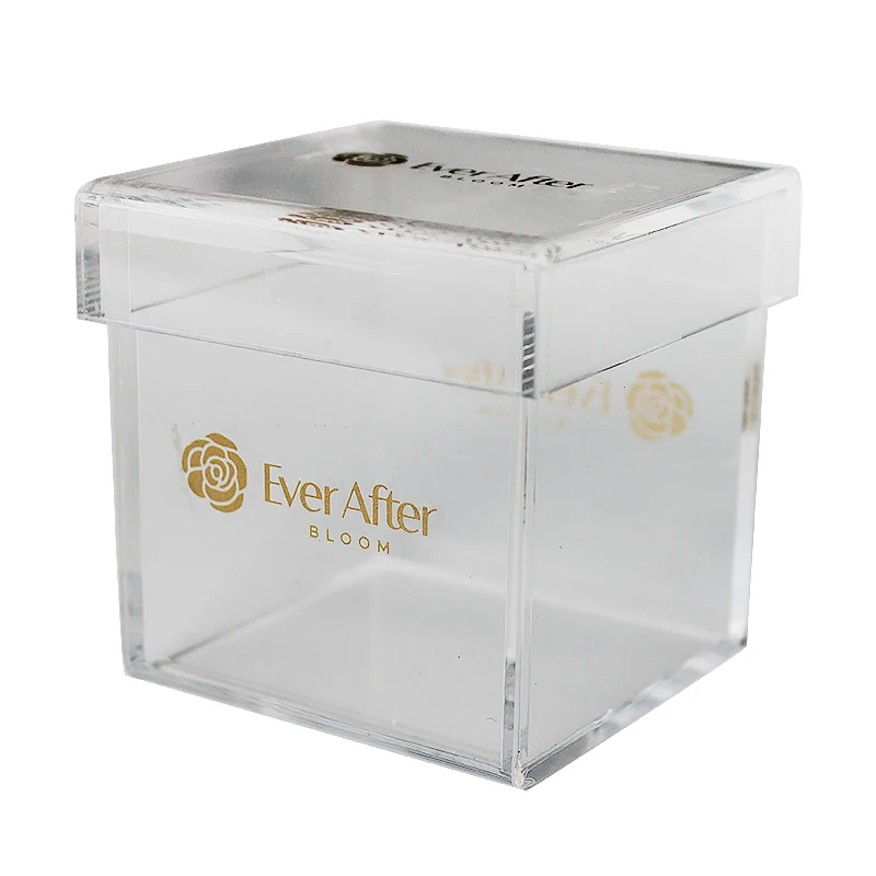 cheap clear plastic boxes