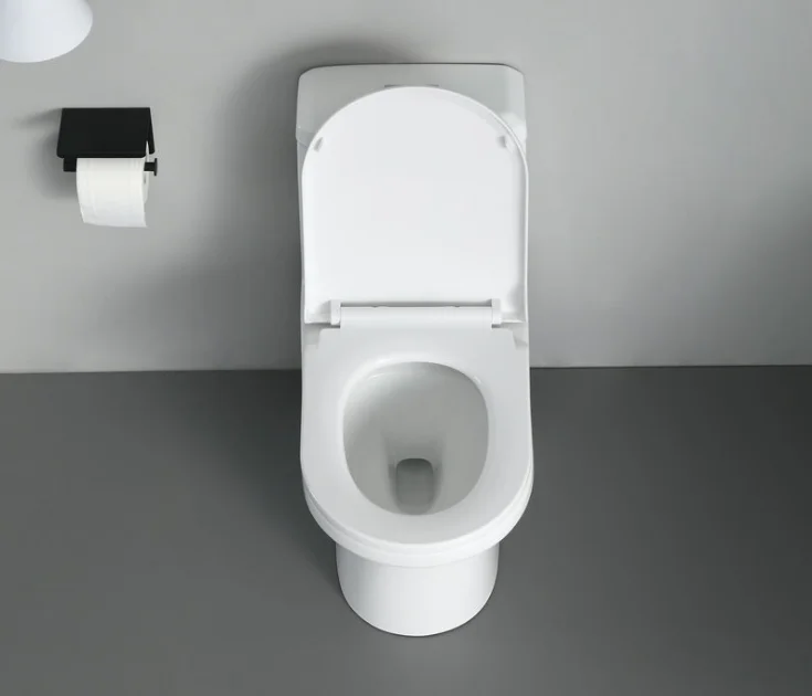 Modern European Ceramic One-Piece Toilet Western Standard Dual-Flush Home Bathroom Hotel Washroom Ceramic Fittings Cupc details