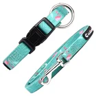 Pet products factory 2020 dog collar and leash/ Webbing designer dog collar