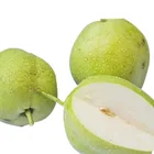 high quality fresh pears bulk purchase factory price fresh pear china crisp pear