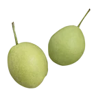 Pear Fresh Pear Fruit Cheap Wholesale Price Pear