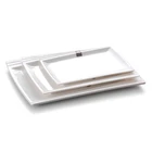 Factory supply high class bone china biodegradable eco guangzhou plastic plate