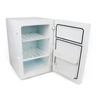 Wholesale 25LMini portable car and home refrigerators AC 220v/DC 12V cosmetic mini fridge