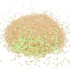 Party Supplies Polyester Powder Bulk Body Glitter Cosmetic