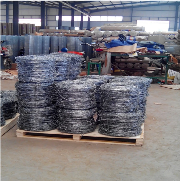 BORBED WIRE12.jpg