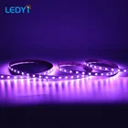 Hot DC12/24V RGB Dimmable 60 LEDs 5050 SMD Flexible RGB LED Strip