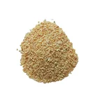 Bulk Garlic Granules Dehydrated Garlic Granules