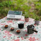 Custom Personalized indoor outdoor portable tea cup sets coffee in stock with teapot porcelain