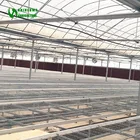 Hot Sale Rolling Benches for Commercial used Agriculture Greenhouse Seedling and Nursery