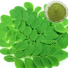Organic Natural Moringa Leaf Powder Moringa Oleifera Capsules Wholesale Price