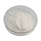 Fruit Extract Papain Powder Digestion