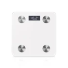 TS-BF8028LCD Zhejiang Factory Backlight Body Fat Scale BMI Analyser Monitor