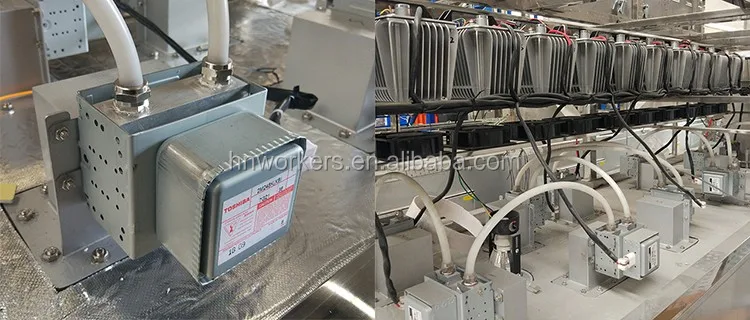 Soldier Fly Eggs Tenebrio Molitor Belt Microwave Drying Machine Equipment Dryer Hermetia Illucens Black New Product 2020 12-80KW