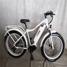 Electric Motor Electric Fat Bike 26 Inch E Bike Fat Tire 1000w Mid Drive Bafang Mountain Electric Bicycle
