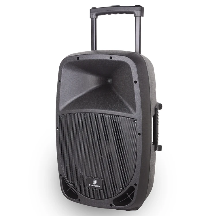 Portable 12Inch Woofer 500 Watt 2 Way USB SD Card Reader Dj PA Bluetooth Speaker - ANKUX.COM
