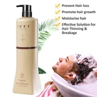 Best Herbal Organic Natural Keratin Hair Care Anti-Hair Loss Shampoo for Thinning Hair Fall
